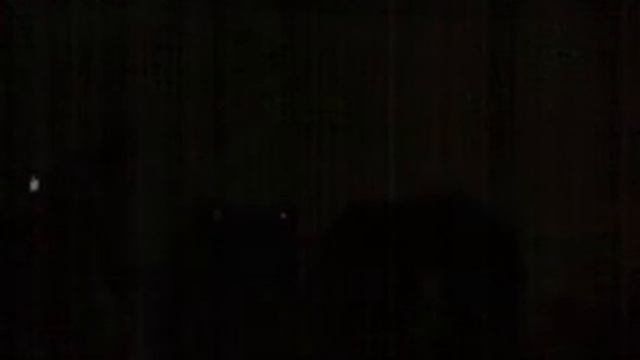 ШУМ и Ярость 15.06.07 смотреть онлайн