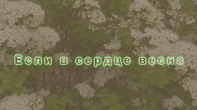Если в сердце весна...Стихи Ирины Расшиваловой смотреть онлайн
