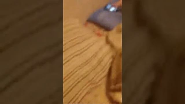 Челендж Поставь Машинку На Подушку С Закрытыми Глазами смотреть онлайн