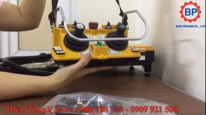 Điều khiển từ xa Telecrane F24-60 điện áp 12V DC