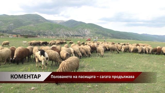 Агрокоментар: Ползването на пасищата – сагата продължава, автор: Валентина Спасова смотреть онлайн