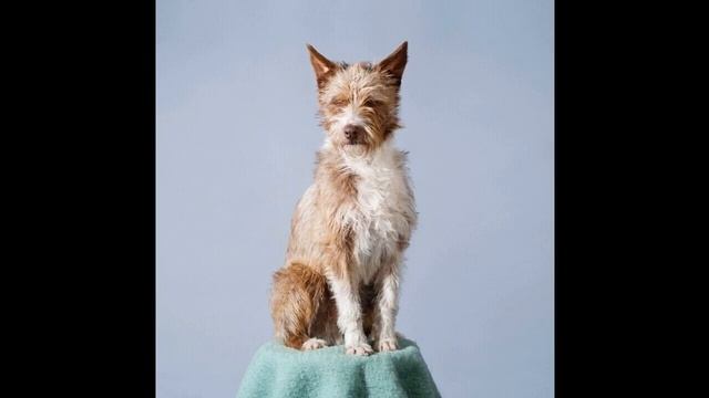 Makèz - Different Planets смотреть онлайн