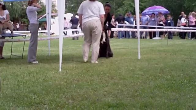 IMAG0064.AVI смотреть онлайн