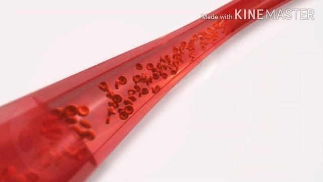 VESTIGE L-ARGENINE MALAYALAM смотреть онлайн