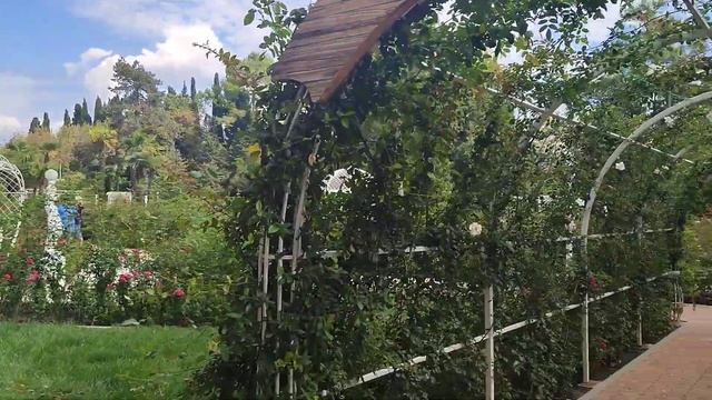 парк Ривьера в Сочи. смотреть онлайн