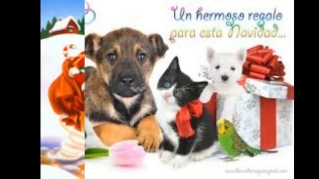 feliz año nuevo remix 2014 смотреть онлайн