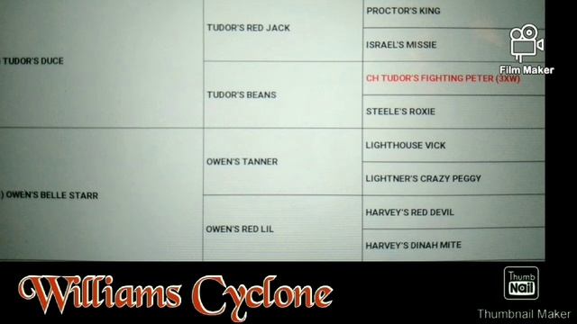 The Lightener Family Gamedog History Part 1"Finding Lightener"#apbtlove #apbt смотреть онлайн