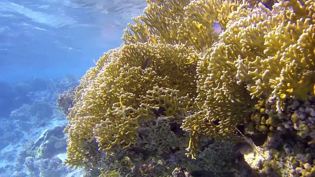 Marsa Alam 2014 смотреть онлайн
