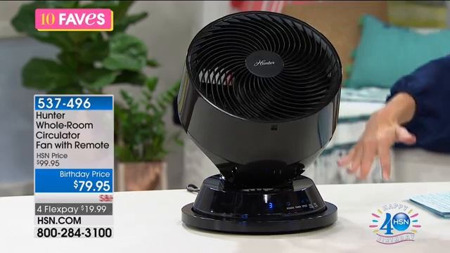 Hunter WholeRoom Circulator Fan with Remote смотреть онлайн