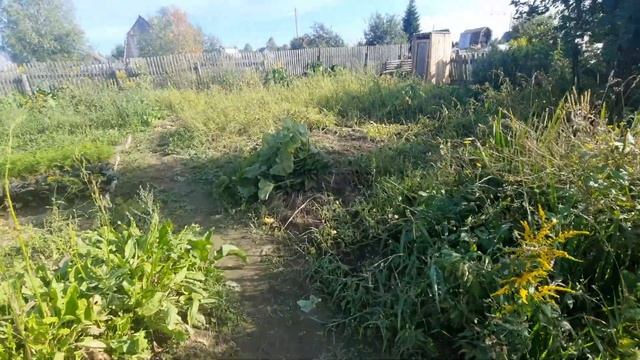 Моя старая дача | Обзор домика |Всё в траве 😮💨 смотреть онлайн