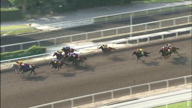 [Racing To Win] 17/18 #19 Sha Tin - Turf C+3 Course meeting on 5 Nov (Race 10) смотреть онлайн