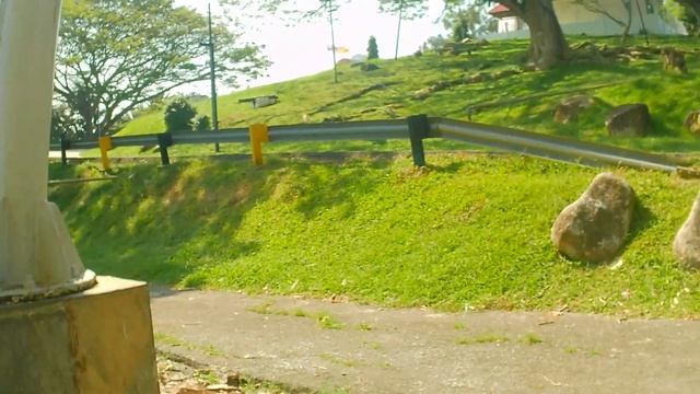 Лангуры в парке исторического музея Куала-Селангора. Часть 1 смотреть онлайн