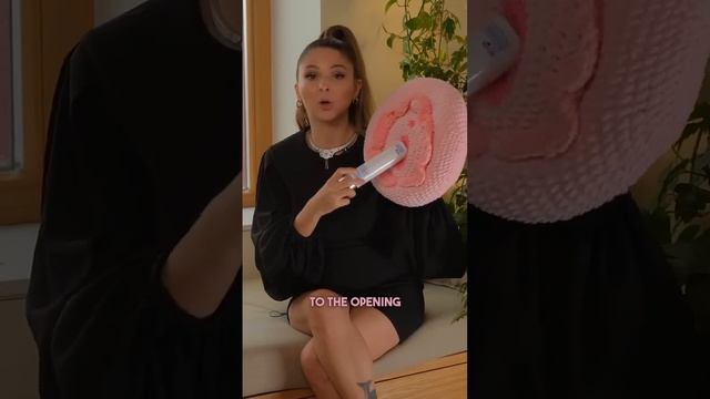 How to insert it correctly смотреть онлайн