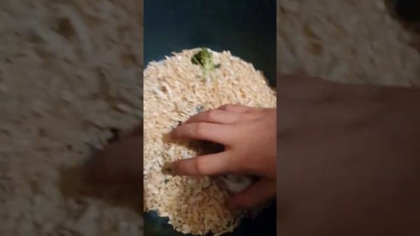 Как подросли хомяка (микс джунгарика и Кэмпбелл)