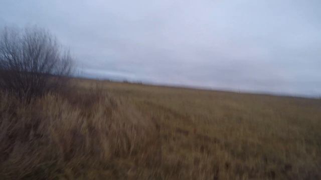 Охота с орлом. # Golden eagle hunting, # Охота с беркутом, # охотничий беркут, # Беркутчи смотреть онлайн