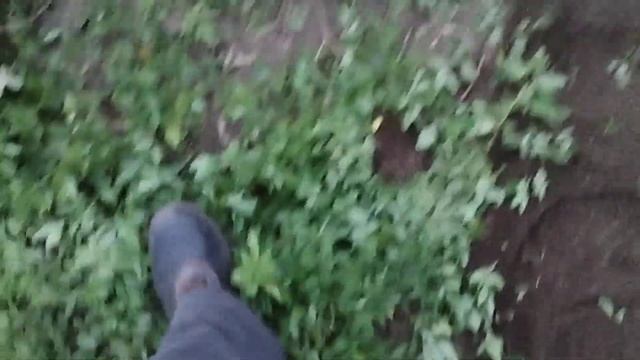 Жер жыртып, айырып, айдау, мотоблок QAZAR MS 100. Пашка огорода, культиватор, мотоблок QAZAR MS 100 смотреть онлайн