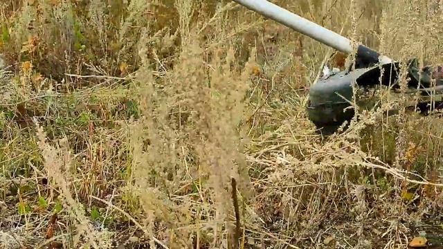 Агроуход в Республике Башкортостан 31.08.2022 смотреть онлайн