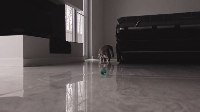 DO NOT buy ROBOT vacuum before watching this: what happened in 3 years — my LONG TERM experience. смотреть онлайн