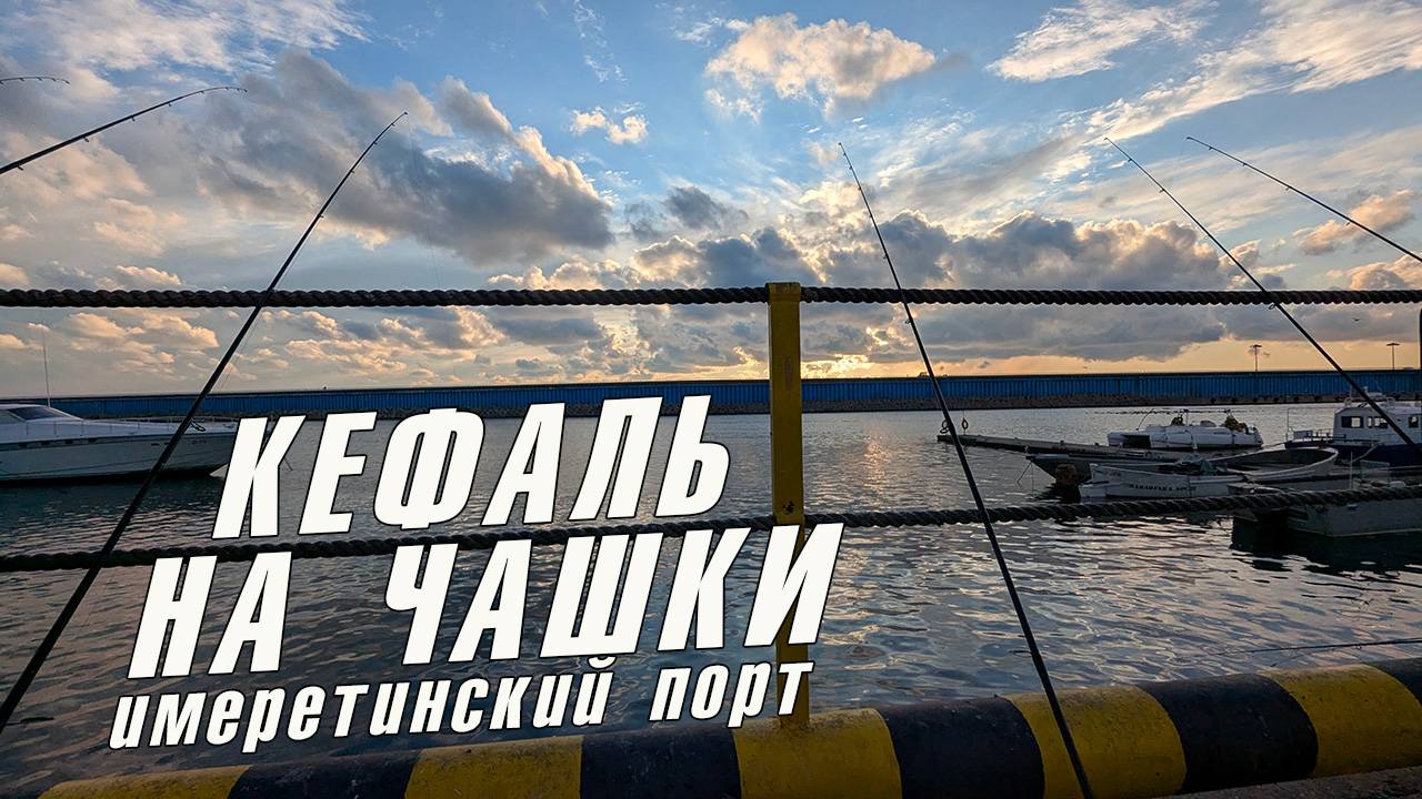 Кефаль на чашки // Имеретинский порт