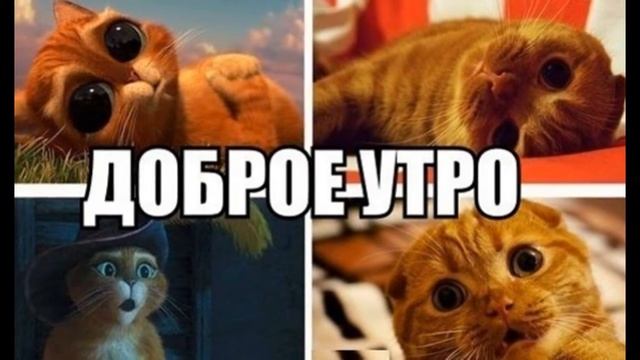 First слайд-шоу смотреть онлайн