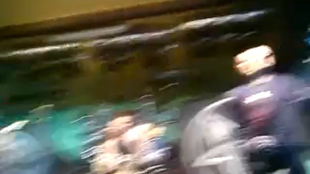 root bukovina.MP4 смотреть онлайн