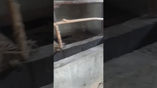 Mini Mol Fermada SIGIR Boqish.