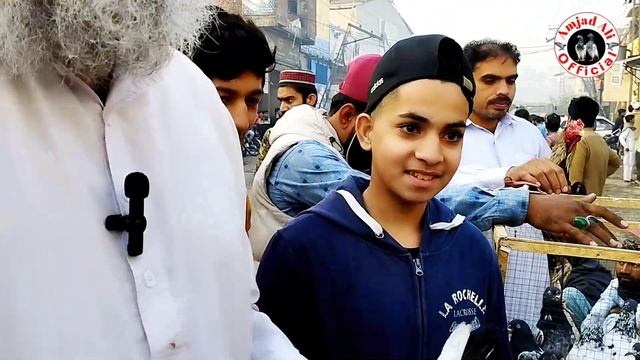 133) Largest market for Pakistani pigeons || Lahore lari ada kabootar mandi || Amjad ali official смотреть онлайн