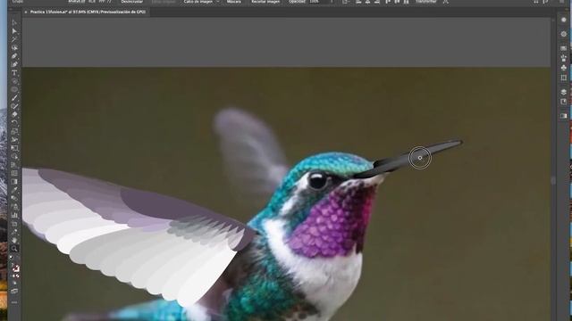 COLIBRI смотреть онлайн
