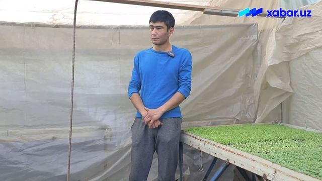 Том устида тадбиркорлик смотреть онлайн