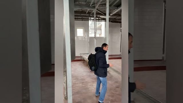 Монтаж бойни с газовым глушением СО2 на 120 свиней в час смотреть онлайн