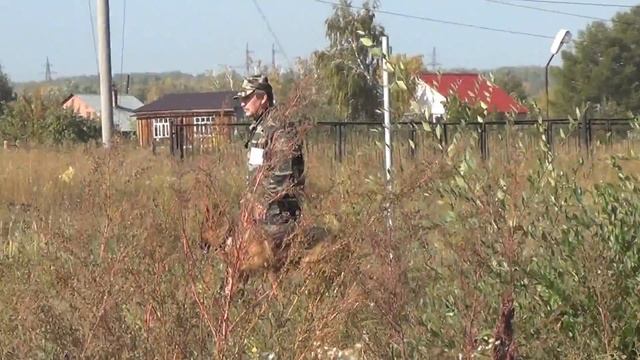 20160925124109 5 смотреть онлайн