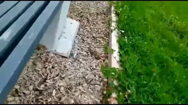 Динозавры среди нас / русский фильм / снимали школьники смотреть онлайн