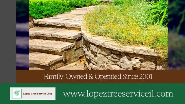 Lopez Tree Service Corp., IL 60564 смотреть онлайн