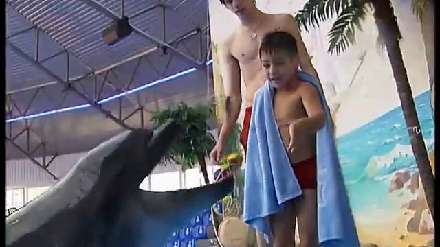 Видео Киевский дельфинарий НЕМО Танцюю для тебе смотреть онлайн