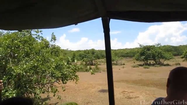 SWIMMING IN PARADISE смотреть онлайн