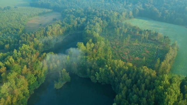 Исцеление внутреннего гнева и устранение печали, ультра-расслабляющая музыка для снятия стресса #1