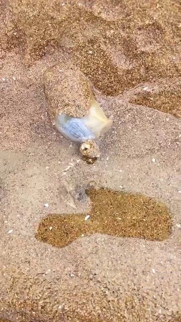 CATCH AMAZING SEAFOOD #47 #SHORT смотреть онлайн