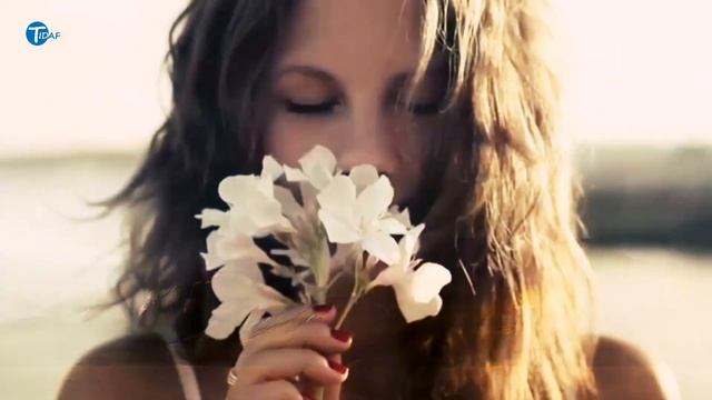 Indila - Mini World ( ⴰⵏⴷⵉⵍⴰ - ⴰⵎⴰⴷⴰⵍ ⴰⵎⵣⵢⴰⵏ ) смотреть онлайн