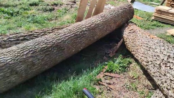 Ленточная пилорама . Медведь в деле . Band sawmill Bear 800 .