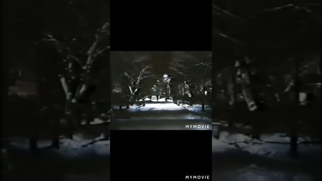 В.Высоцкий.Здесь лапы у елей дрожат на весу.