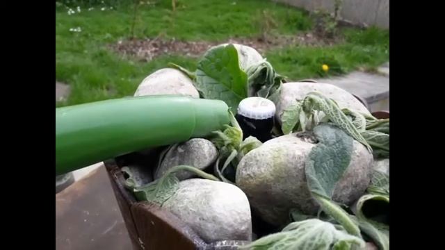 Просто добавь воды смотреть онлайн