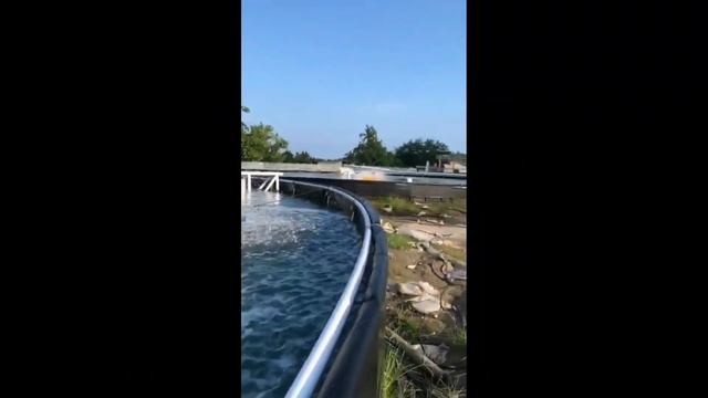 Root blower /Aerator yg Tepat untuk Kolam Bundar Dia 30 mtr budidaya Udang Vaname смотреть онлайн