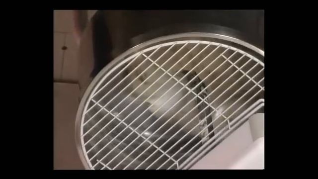 Varietà di mignon CD8 смотреть онлайн