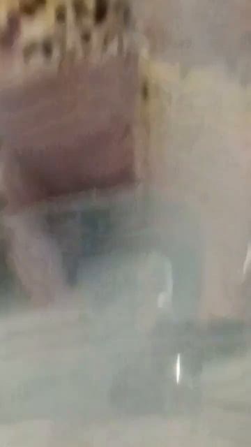 эублефар смотрит в камеру🥰 #гекон #лайк #тренды #экзотика #эублефар #милота #гара #взгляд смотреть онлайн