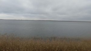 Шуршит камыш на речке  VID_20250204_102152