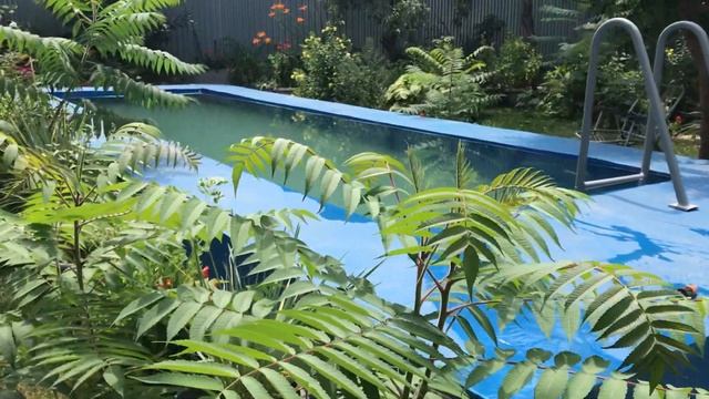 *это только начало лета...*