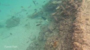 Moreton Island. The Wrecks
