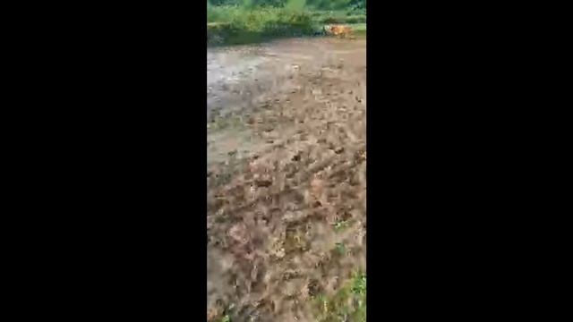 Highlight 18:25 - 23:25 from KILO BARAN смотреть онлайн