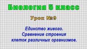 Биология 5 класс (Урок№9 - Единство живого. Сравнение строения клеток различных организмов.)