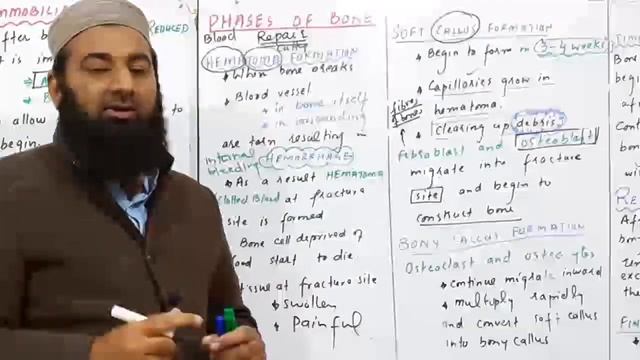 Biology Ch#16-Lecture#14 Repair of broken bones (F.Sc 2nd Year) смотреть онлайн